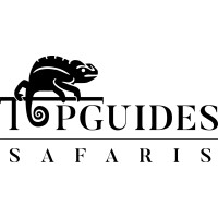 TopGuides Bush Camps Logo