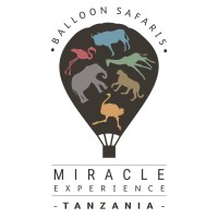 Miracle Experience Logo