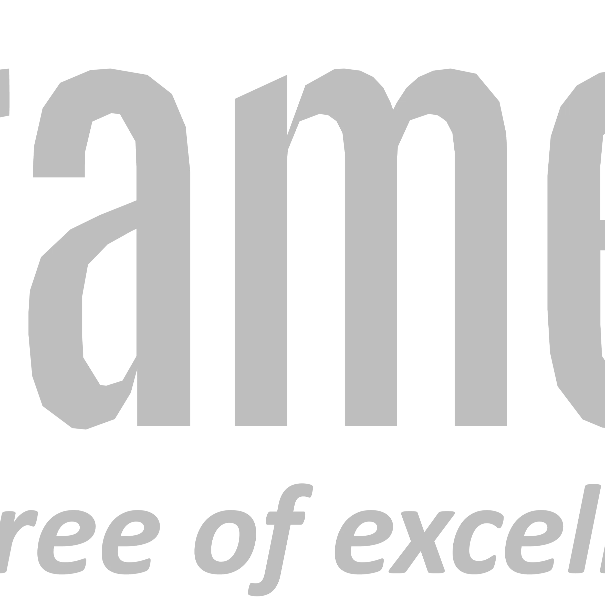BRAMEX SOLUTIONS LIMITED Logo