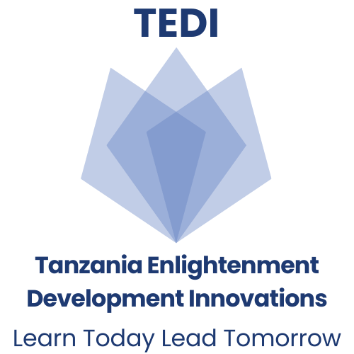 Tanzania Enlightenment Development Innovations (TEDI) Logo