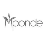 Mponde Holding Company Limited (MHCL)
