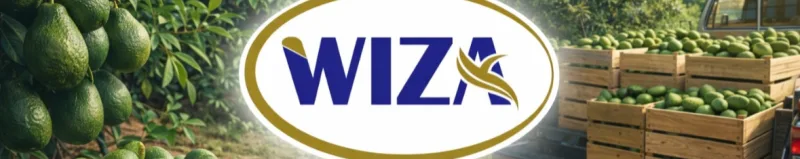 Wiza cmc africa limited cover