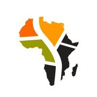 Paveway Africa Ltd Logo
