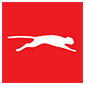 Puma Energy Logo
