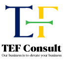 TEF Consult Logo